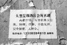 台山珠海伴游雇用网(珠海游览社雇用信息)