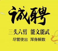 台山私人伴游招聘 一线二线城市招聘大圈中圈小圈女孩商务模特佳丽女模名媛招聘高薪一单一结