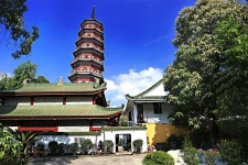 台山广州自由行(广州 自由行)
