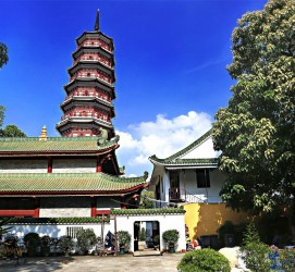 台山广州自由行(广州 自由行)