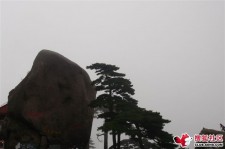 台山上海伴游私家陪游雇用女模(上海伴游私家陪游雇用女模特)