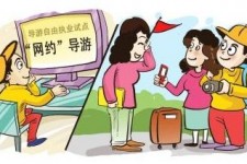台山伴游是什么