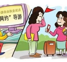 台山伴游是什么