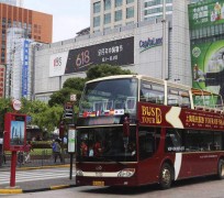 台山上海私人伴游 上海过年怎么玩？这些“微游”线路了解下→
