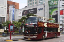 台山上海私人伴游 上海过年怎么玩？这些“微游”线路了解下→