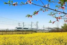 台山高铁游(高铁游戏下载手机版)