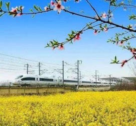 台山高铁游(高铁游戏下载手机版)