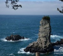 台山旅游全攻略(上海旅游全攻略)