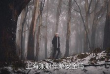 台山上海私人伴游 上海伴游，上海兼职伴游安全吗