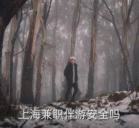台山上海私人伴游 上海伴游，上海兼职伴游安全吗