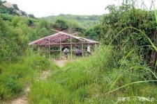 台山北海伴游兼职雇用信息(北海伴游兼职雇用信息大全)