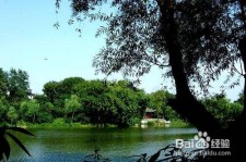 台山西湖旅游攻略(上海到杭州西湖旅游攻略)