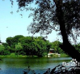 台山西湖旅游攻略(上海到杭州西湖旅游攻略)