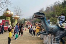 台山中国伴游带你打卡网红南山竹海(南山竹海网上预约)