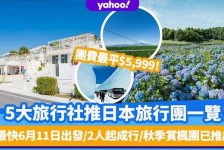 台山旅游价格(旅游价格机制)
