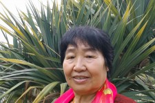 台山白叟带老伴游半个中国(白叟外出旅游)