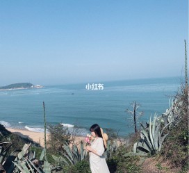 台山厦门周边游(厦门及周边旅游攻略)