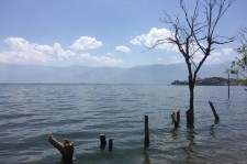 台山洱海旅游攻略(洱海旅游攻略自由行)