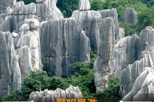 台山贵阳市游览社英语伴游雇用(贵阳市前十名游览社是哪几家)