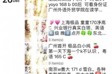 台山外围伴游雇用圈套(雇用伴游什么样子的是实的)