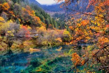 台山四川旅游攻略(四川旅游攻略十五日游)