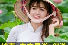 台山日本关东伴游中国(日本关西旅行)