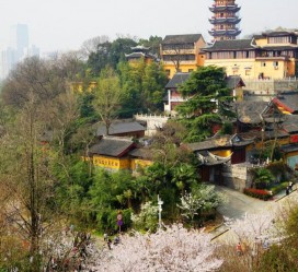台山南京周边游(南京周边游景点大全 自驾车旅游)
