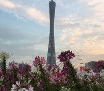 台山广州旅游攻略(杭州到广州旅游攻略)