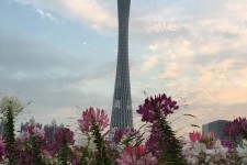 台山广州旅游攻略(杭州到广州旅游攻略)
