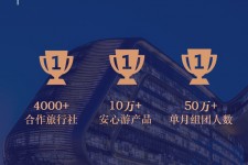 台山上海私人伴游 ​ “小而美”的新时代：2020年国内新跟团消费报告