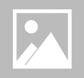 台山最新导游伴游雇用信息(最新导游伴游雇用信息大全)