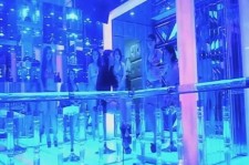 台山上海伴游 [视频]曝伴游行业内幕：白天陪玩晚上陪睡
