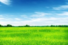 台山上海伴游 上海模特伴游微信号的交友宣言