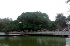 台山福州旅游攻略(福州旅游攻略二日游)