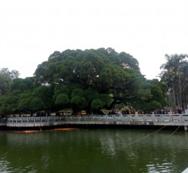 台山福州旅游攻略(福州旅游攻略二日游)