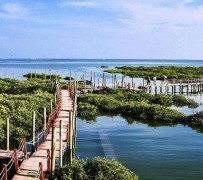 台山旅游哪里好玩(云南旅游哪里好玩)