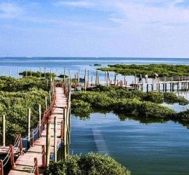 台山旅游哪里好玩(云南旅游哪里好玩)