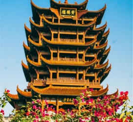 台山武汉游玩攻略(武汉游玩攻略路线)