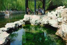 台山济南旅游攻略(青岛威海济南旅游攻略)