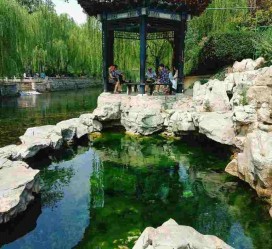 台山济南旅游攻略(青岛威海济南旅游攻略)