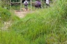 台山苍溪学生做伴游兼职(苍溪学生做伴游兼职怎么样)