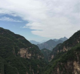 台山伴游中国伴游城(伴游网上海)
