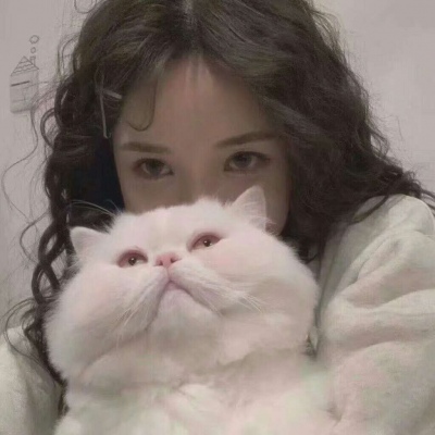 台山伴游女生韩婉婷的资料